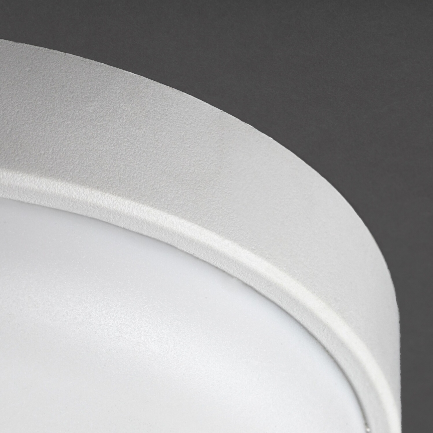 Rabalux - LED Ulkokattovalaisin LED/14W/230V IP54 valkoinen