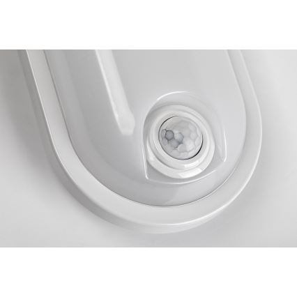 Rabalux - LED-ulkokäyttöön tarkoitettu kattovalaisin liiketunnistimella LED/15W/230V IP65 valkoinen
