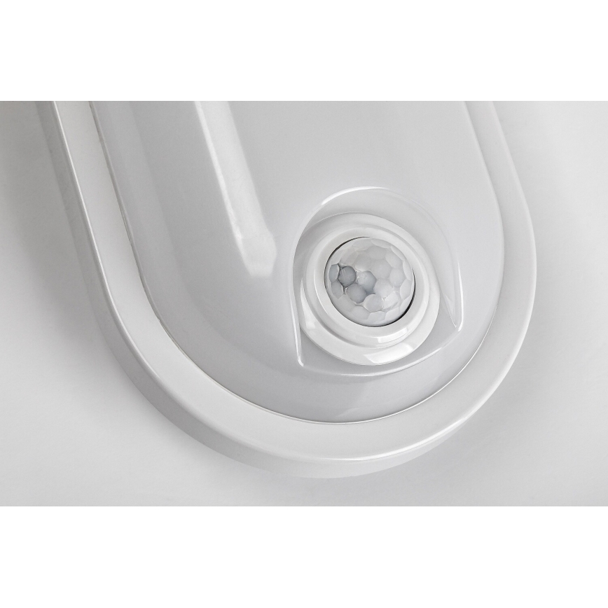 Rabalux - LED-ulkokäyttöön tarkoitettu kattovalaisin liiketunnistimella LED/15W/230V IP65 valkoinen