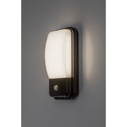 Rabalux - LED-ulkoseinävalaisin liiketunnistimella LED/20W/230V IP65