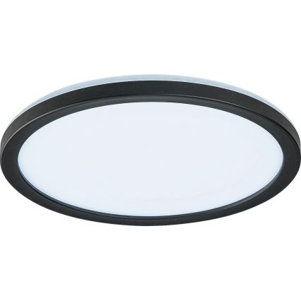 Rabalux - LED Himmennettävä ulkokattovalaisin LED/15W/230V Wi-Fi Tuya 2700-6500K IP44 + kaukosäädin