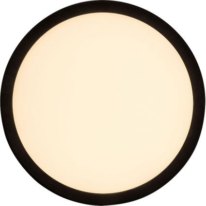 Rabalux - LED Himmennettävä ulkokattovalaisin LED/15W/230V Wi-Fi Tuya 2700-6500K IP44 + kaukosäädin