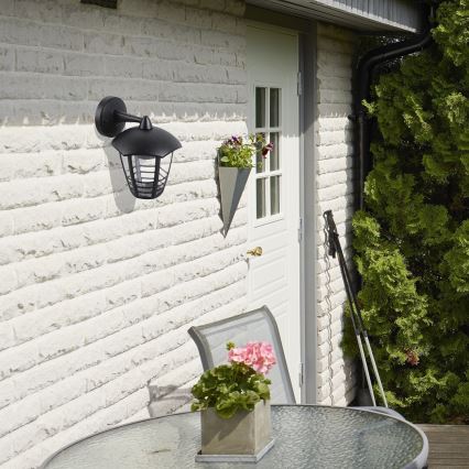 Rabalux - Ulkoseinävalaisin 1xE27/60W/230V IP44