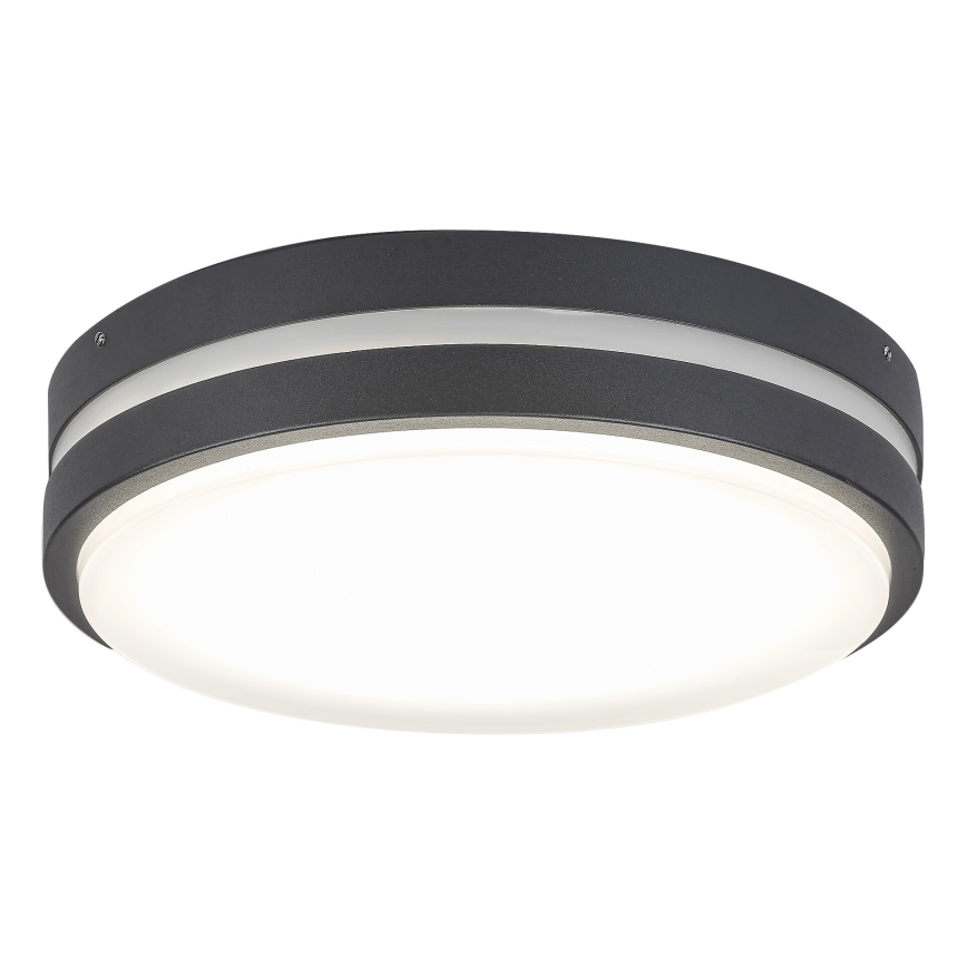 Rabalux 8847 - LED-ulkoseinävalaisin HAMBURG LED/10W/230V IP44