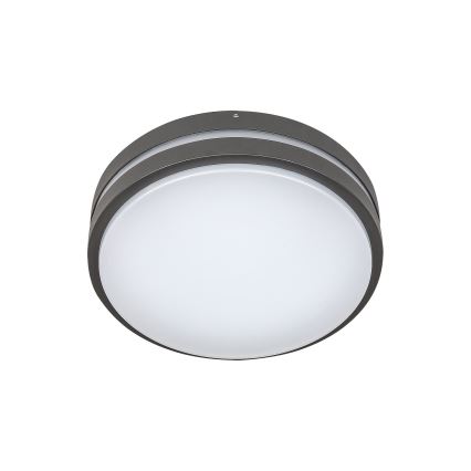 Rabalux 8847 - LED-ulkoseinävalaisin HAMBURG LED/10W/230V IP44