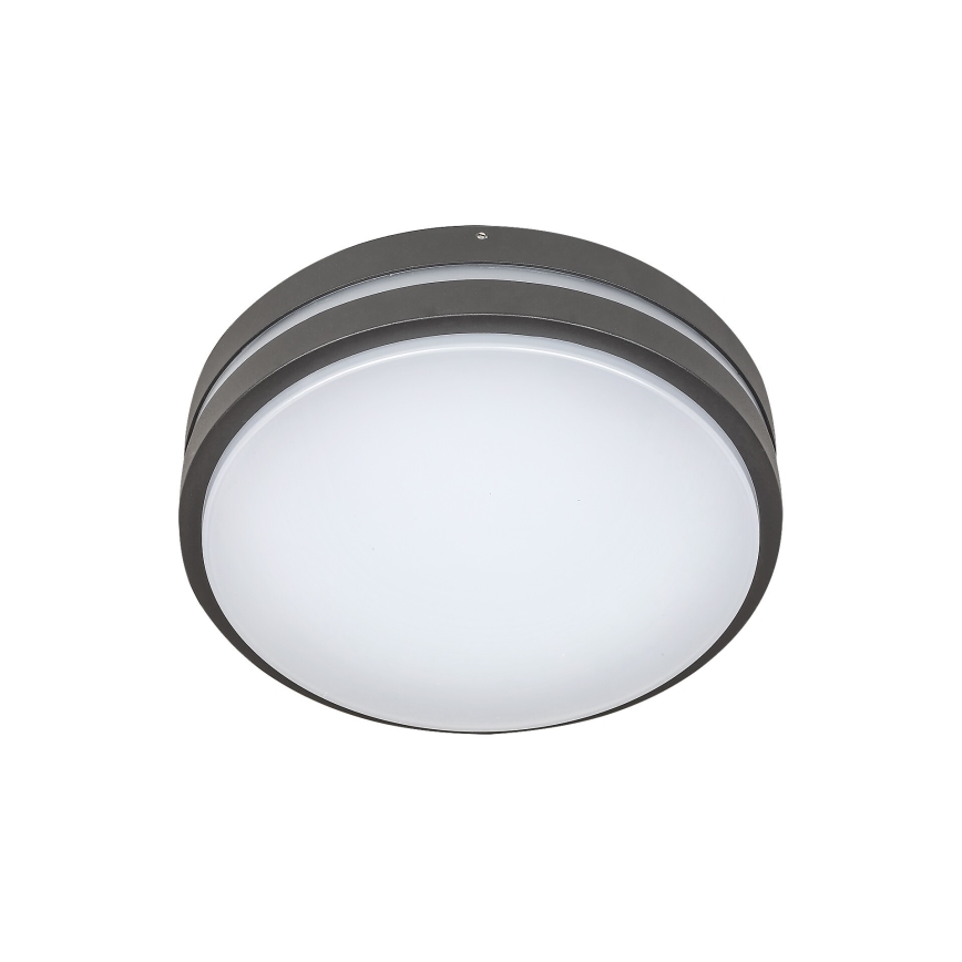 Rabalux 8847 - LED-ulkoseinävalaisin HAMBURG LED/10W/230V IP44