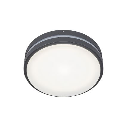 Rabalux 8847 - LED-ulkoseinävalaisin HAMBURG LED/10W/230V IP44