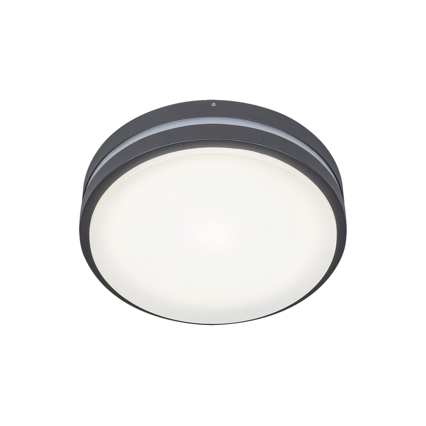 Rabalux 8847 - LED-ulkoseinävalaisin HAMBURG LED/10W/230V IP44