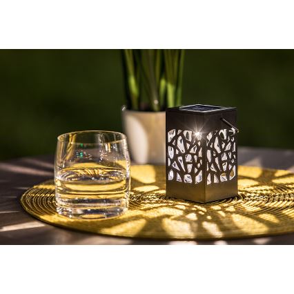 Rabalux - LED-ulkoaurinkovalo LED/0,07W/1xAAA IP23