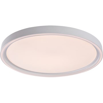 Rabalux - himmennettävä LED-kattovalaisin LED/31W/230V IP40 3000-6500K Ø 41,5 cm + kaukosäädin