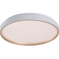 Rabalux - Himmennettävä LED-kattovalaisin LED/34W/230V 3000-6500K halkaisija 38 cm + kaukosäädin