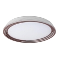 Rabalux - himmennettävä LED-kattovalaisin LED/36W/230V halkaisija 51,5 cm