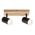 Rabalux - Katto-spotvalaisin 2xGU10/5W/230V tammi