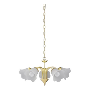 Rabalux - Kattokruunu ketjussa 5xE14/40W/230V