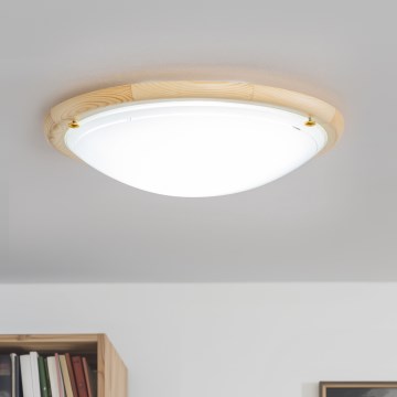 Rabalux - Kattovalo 2xE27/60W/230V