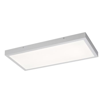 Rabalux - Kiinteä LED-paneeli LED/24W/230V 4000K 60x30 cm