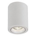 Rabalux - Kohdevalo 1xGU10/25W/230V pyöreä valkoinen