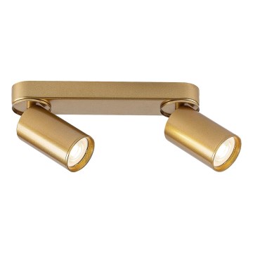 Rabalux - Kohdevalo 2xGU10/5W/230V kulta
