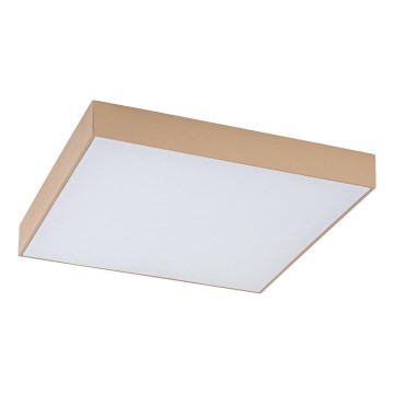 Rabalux - Kylpyhuoneen LED-kattovalaisin LED/24W/230V 2800/4000/6000K IP44