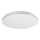 Rabalux - Kylpyhuoneen LED-kattovalaisin LED/30W/230V IP44 halkaisija 37,5 cm