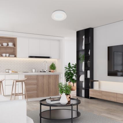 Rabalux - LED himmennettävä kattovalaisin LED/38W/230V 3000-6500K valkoinen + kaukosäädin Ø 48 cm