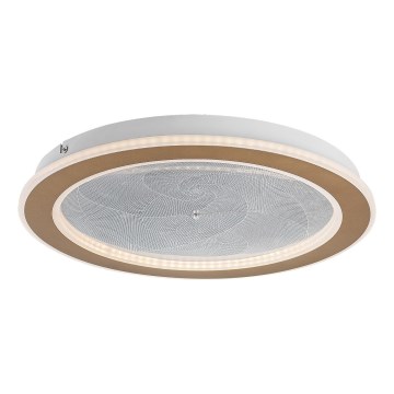 Rabalux - LED-himmennettävä kattovalaisin LED/24W/230V 3000-6500K Ø 40 cm + kaukosäädin