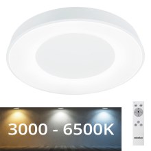Rabalux - LED-himmennettävä kattovalaisin LED / 38W / 230V valkoinen + RC 3000-6500K
