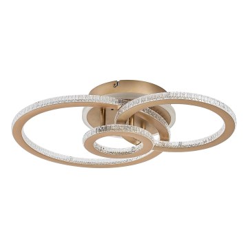 Rabalux - LED-himmennettävä kattovalaisin LED/40W/230V 3000-6500K + kaukosäädin