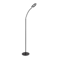 Rabalux - LED himmennettävä kosketusjalustavalaisin LED/11W/230V 3000K