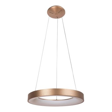 Rabalux - LED-kattokruunu johdossa CARMELLA LED/50W/230V halkaisija 60 cm