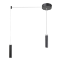 Rabalux - LED-kattokruunu narussa LED/14W/230V