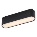 Rabalux - LED Kattovalaisin 1-vaihekiskoon LED/6W/24V 3000K 11,5 cm musta