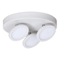 Rabalux - LED-kattovalaisin 3xLED/6W/230V valkoinen