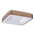 Rabalux - LED-kattovalaisin CARMELA LED/30W/230V 40x40 cm