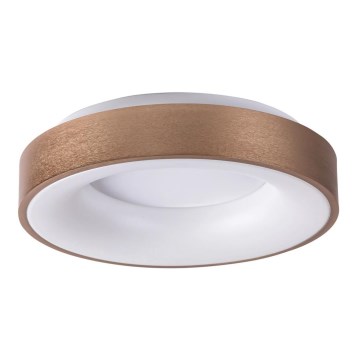Rabalux - LED-kattovalaisin CARMELA LED/30W/230V halkaisija 38 cm