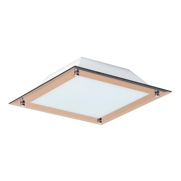 Rabalux - LED-kattovalaisin LARS 1xLED/12W/230V 30x30 cm
