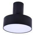 Rabalux - LED-kattovalaisin LED/16W/230V 3000K, musta, Ø 14 cm