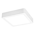 Rabalux - LED-kattovalaisin LED/18W/230V 17x17 cm