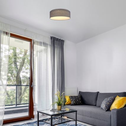 Rabalux - LED-kattovalaisin LED/22W/230V, harmaa, halkaisija 40 cm