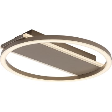 Rabalux - LED-kattovalaisin LED/24W/230V Ø 33 cm