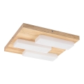 Rabalux - LED-kattovalaisin LED/30W/230V 3000K tammi 40x40 cm