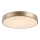 Rabalux - LED-kattovalaisin LED/36W/230V 3000K halkaisija 40 cm