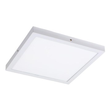 Rabalux - LED-kattovalaisin LED/36W/230V