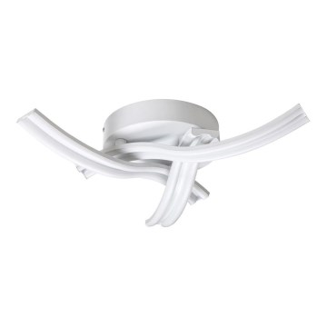 Rabalux - LED-kattovalaisin LED/40W/230V