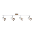 Rabalux - LED-kohdevalaisin 4xLED/4W/230V