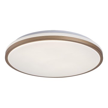 Rabalux - LED-kylpyhuoneen kattovalaisin LED/18W/230V IP44 halkaisija 34 cm