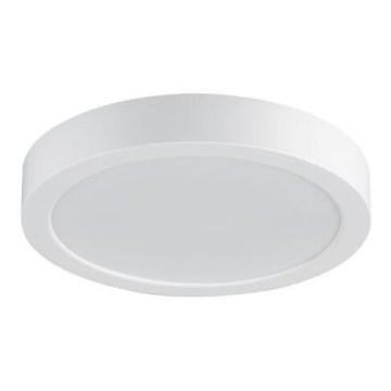 Rabalux - LED-kylpyhuoneen kattovalaisin LED/24W/230V, halkaisija 22 cm, IP44, valkoinen