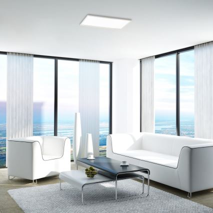 Rabalux - LED Pinta-asennettava paneeli LED / 22W / 230V