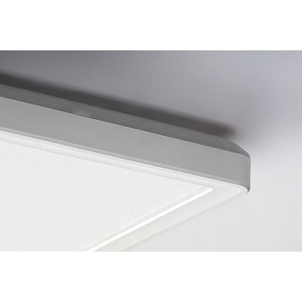 Rabalux - LED Pinta-asennettava paneeli LED / 22W / 230V