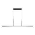 Rabalux - LED-riippuvalaisin kaapelilla LED/40W/230V 3000K
